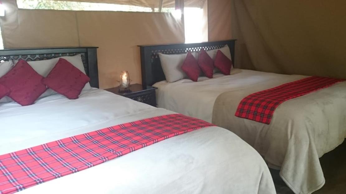 Hammerkop Migration Camp Bed and Breakfast Maasai Mara Exterior foto
