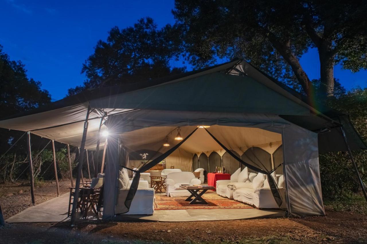 Hammerkop Migration Camp Bed and Breakfast Maasai Mara Exterior foto